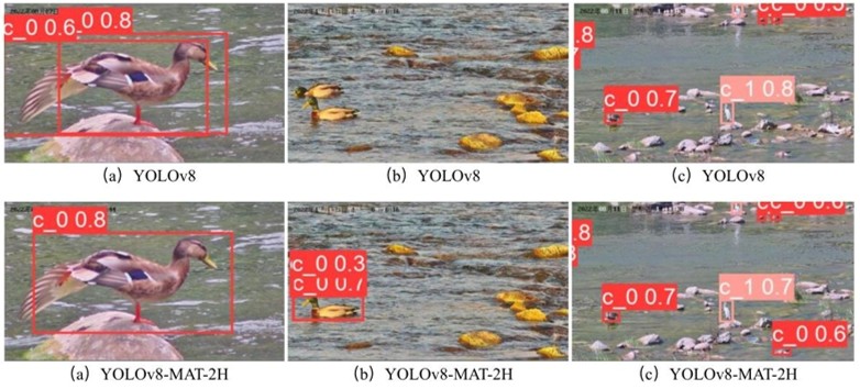 Intelligent Bird Recognition for River Ecosystems